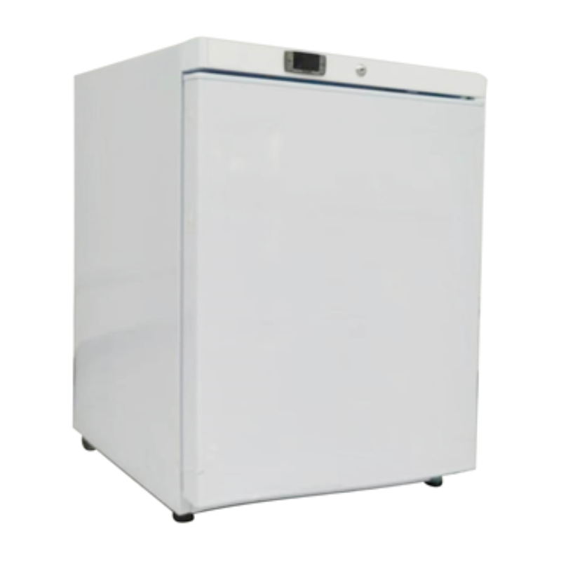 Mini-Kühlschrank 200 L - Positiv Weiß | Dynasteel Mini-Kühlschrank 200 L - Positiv Weiß | Dynasteel