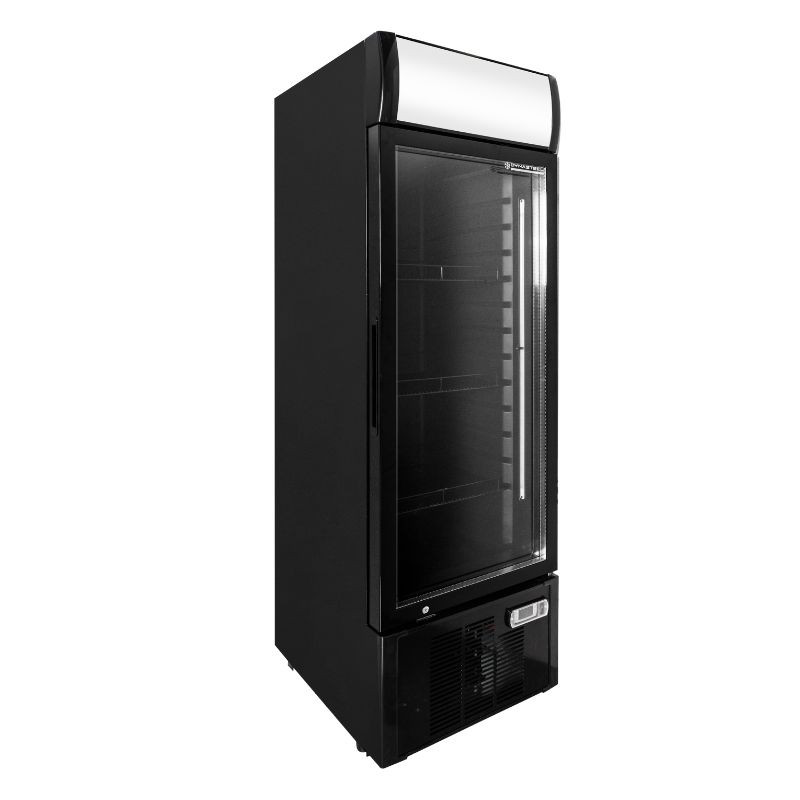 Kühlvitrine für Getränke - 300 L - Dynasteel Kühlvitrine für Getränke - 300 L - Dynasteel