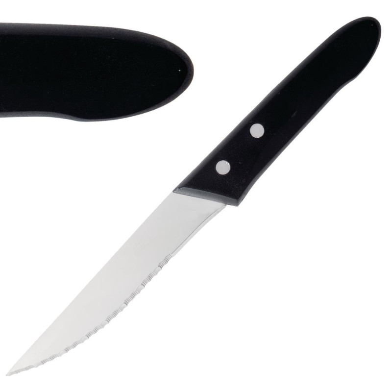 Steakmesser - 250mm - Set von 12 - DEGLON Steakmesser - 250mm - Set von 12 - DEGLON